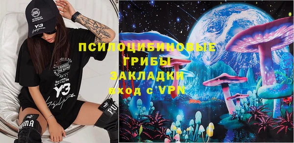 стаф Алексеевка