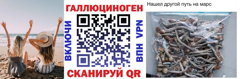 блэк спрут зеркало  где можно купить наркотик  Анадырь  Галлюциногенные грибы GOLDEN TEACHER 